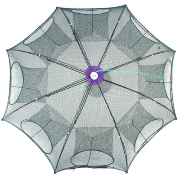 C075870b D7ee 4cfb 8eb1 1a128a7fb9fb.png