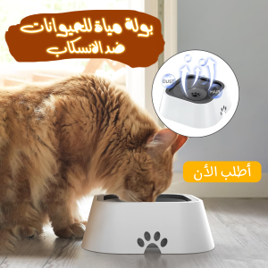8d805ff2 993f 45bd A106 56eadb11684b.png